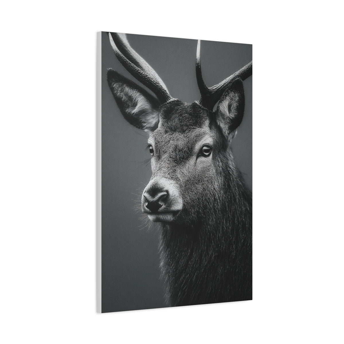 Highland Stag Moonlight Profile Wall Art & Canvas Print