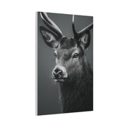 Highland Stag Moonlight Profile Wall Art & Canvas Print