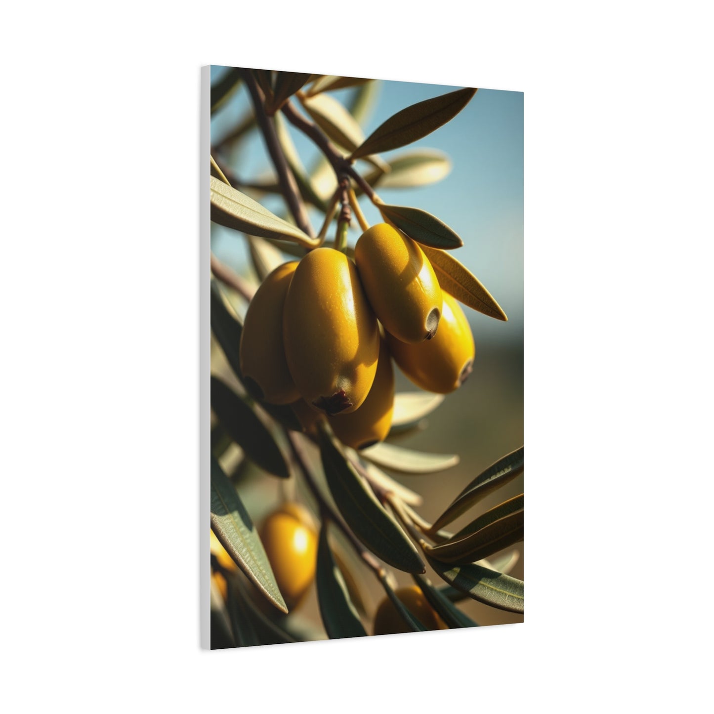 Emerald Serenity Showcase Wall Art & Canvas Print
