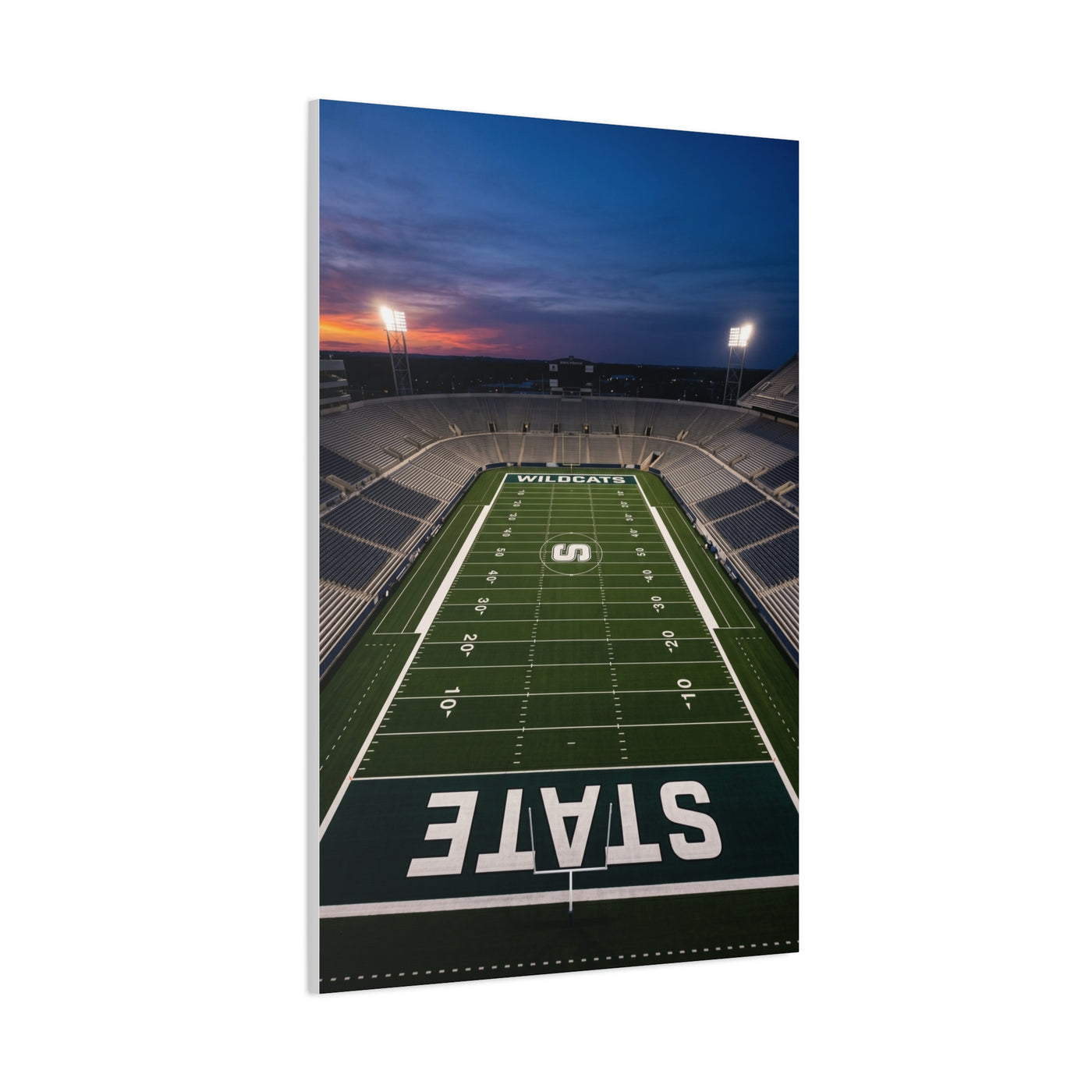 Stadium Under Lights Panorama Sports Wall Art & Canvas Print
