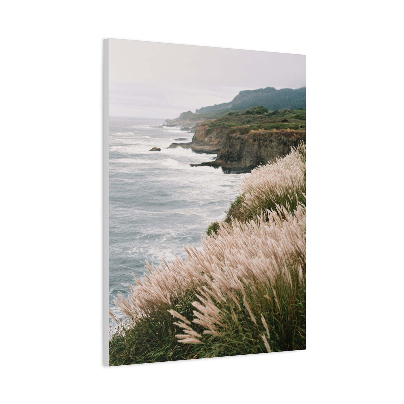 Wind Swept Coastal Cliffs Above the Ocean Wall Art & Canvas Print