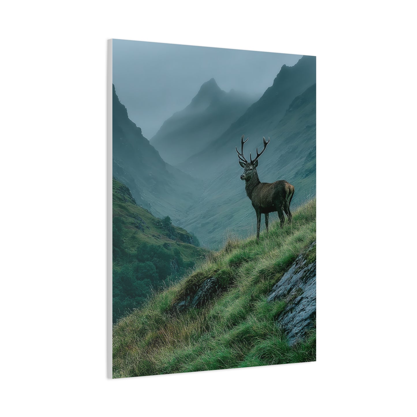 Highland Valley Stag Vista Wall Art & Canvas Print