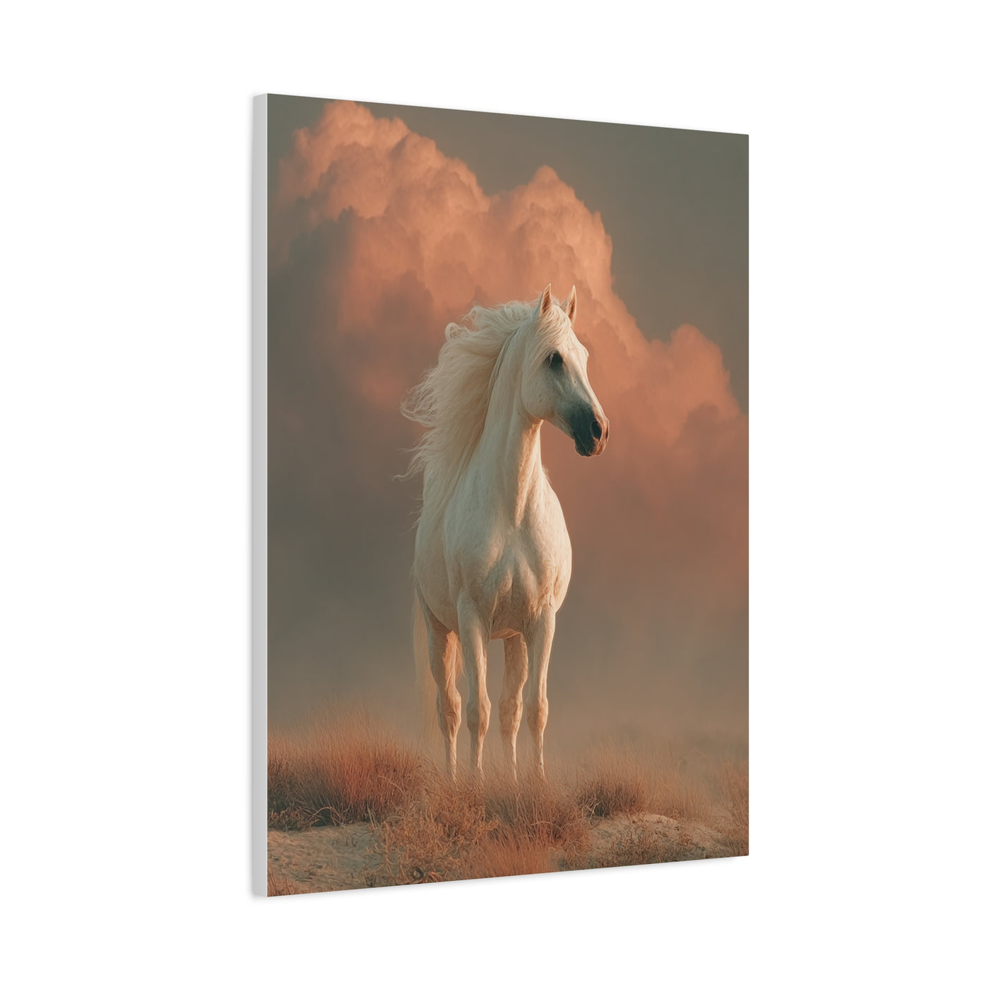 White Arabian Horse Golden Cloud Portrait Wall Art & Canvas Print
