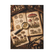 Cabinet-of-Curiosities Mushroom Study Wall Art & Canvas Print