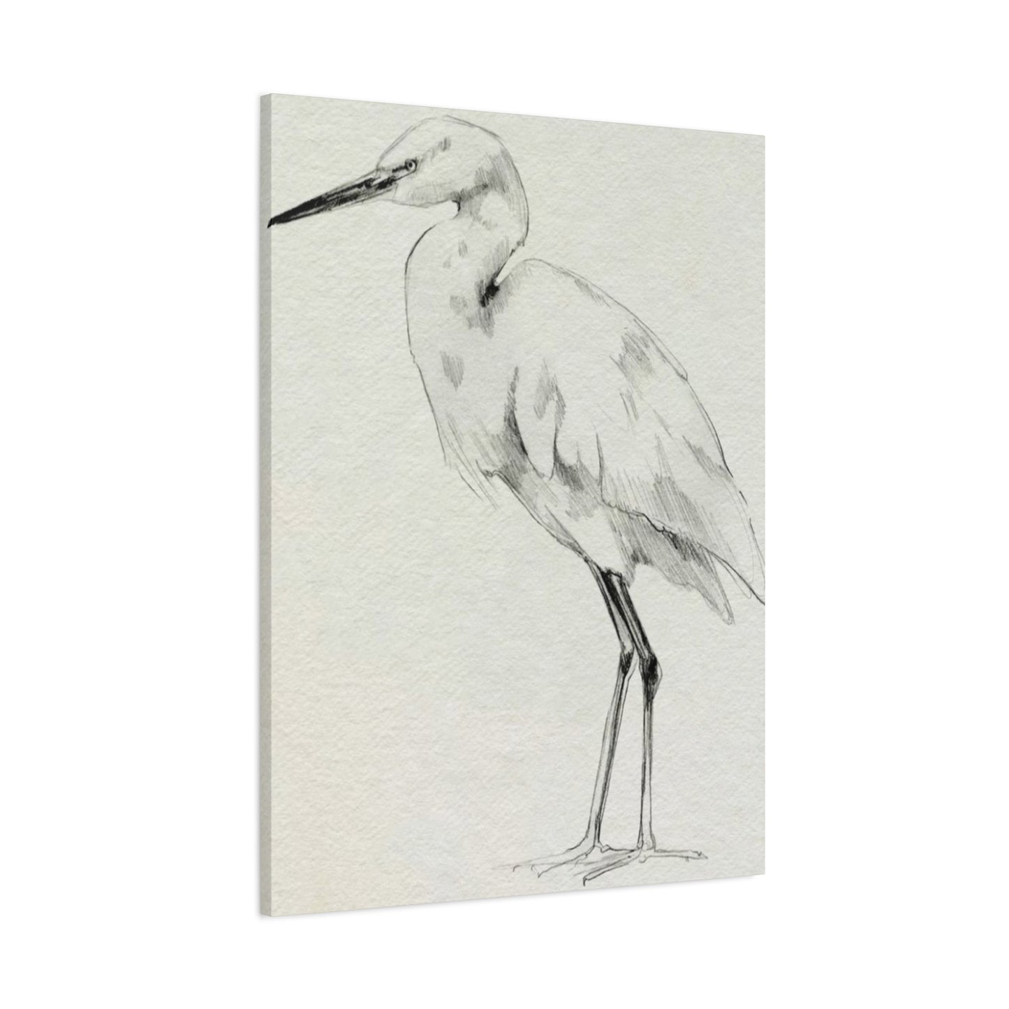 Herons Drawing Wall Art & Canvas Prints