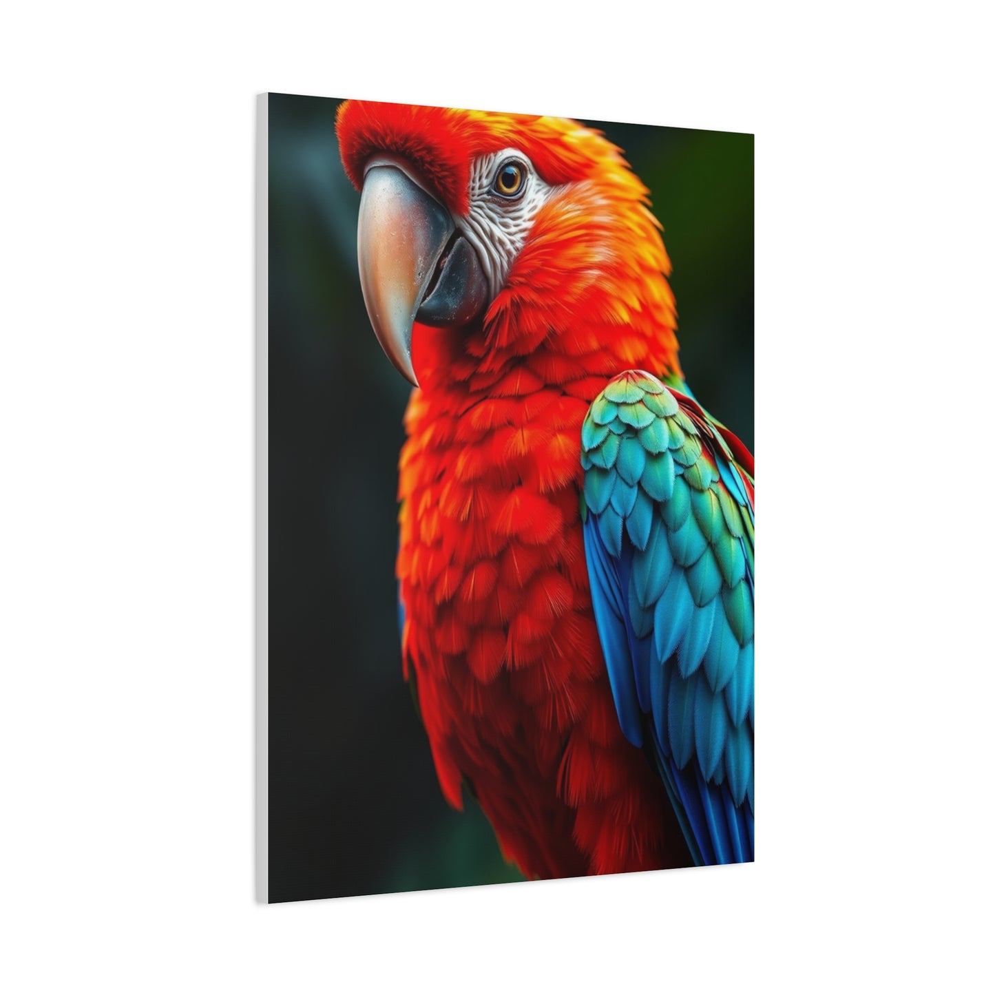 Supreme Tropical Birds Art Beautiful Collection Wall Art & Canvas Print