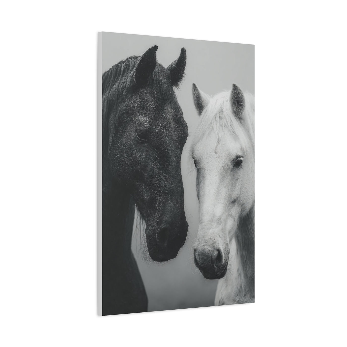 Intimate Dual Horse Monochrome Wall Art & Canvas Print