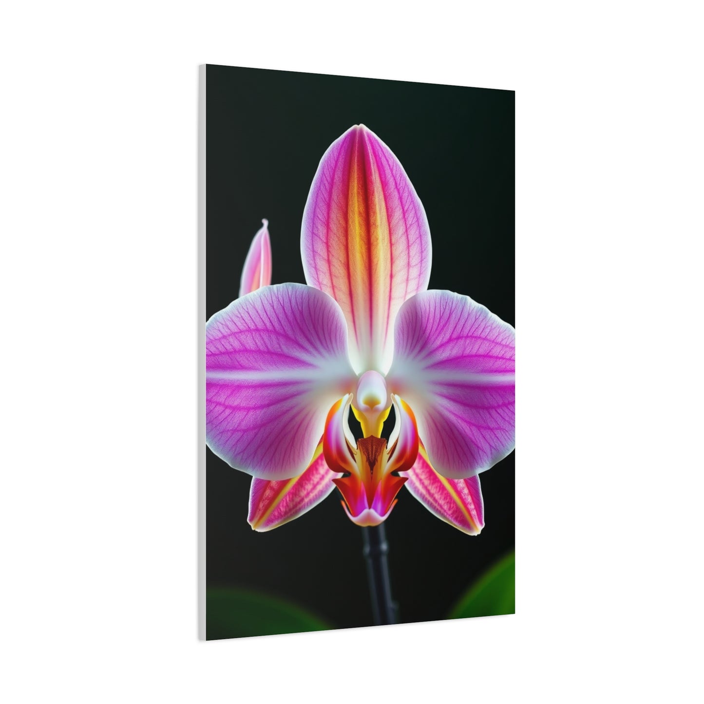 Orchid Flower Art Supreme Canvas Wall Art & Canvas Print