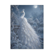 Snowy Moonlit White Peacock Wall Art & Canvas Print