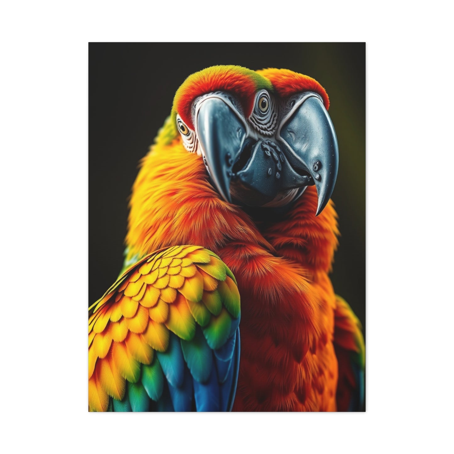 Supreme Parrot Art Beautiful Collection Wall Art & Canvas Print