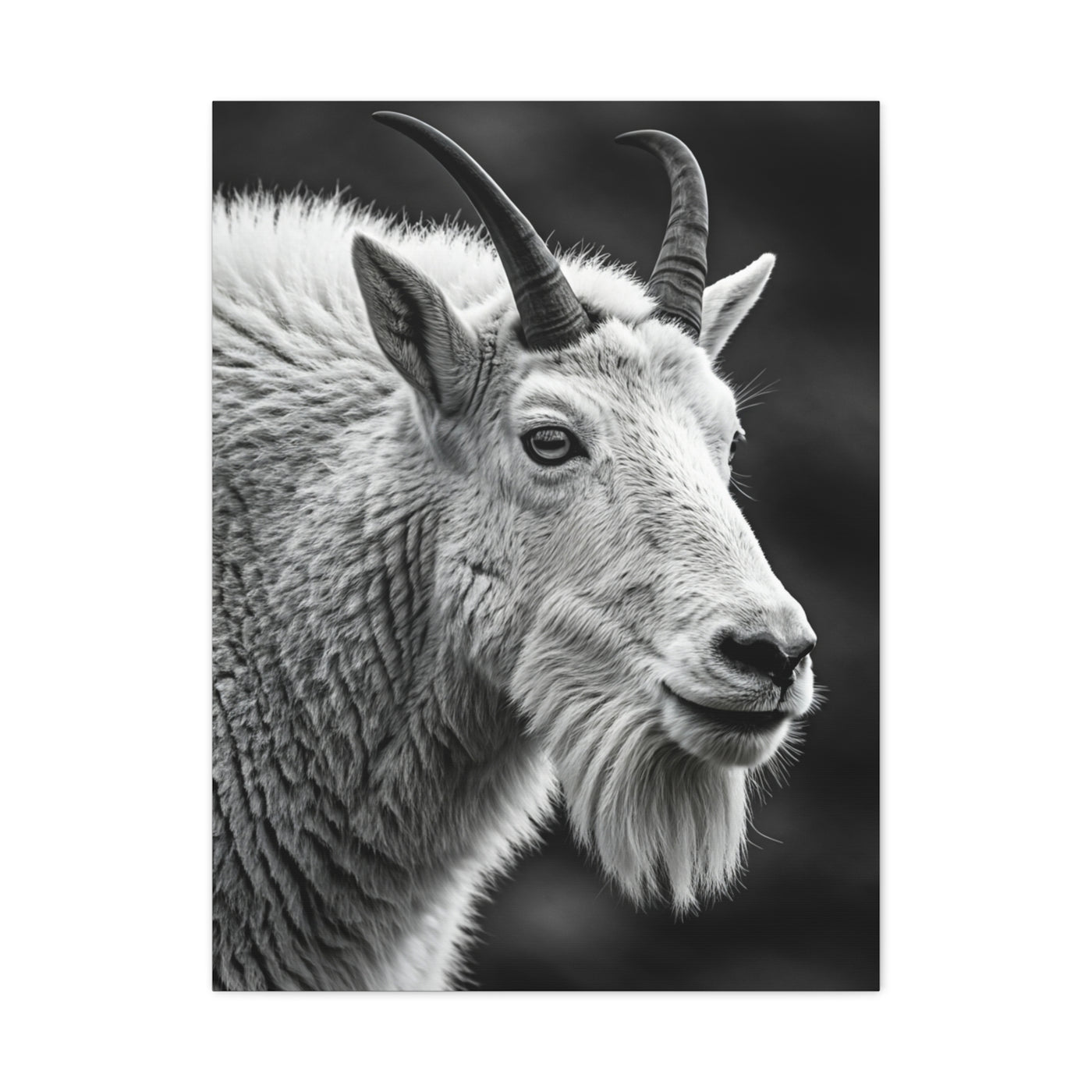 Alpine Goat Portrait Wall Art & Canvas Prints