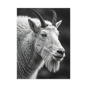 Alpine Goat Portrait Wall Art & Canvas Prints