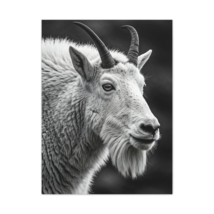 Alpine Goat Portrait Wall Art & Canvas Prints