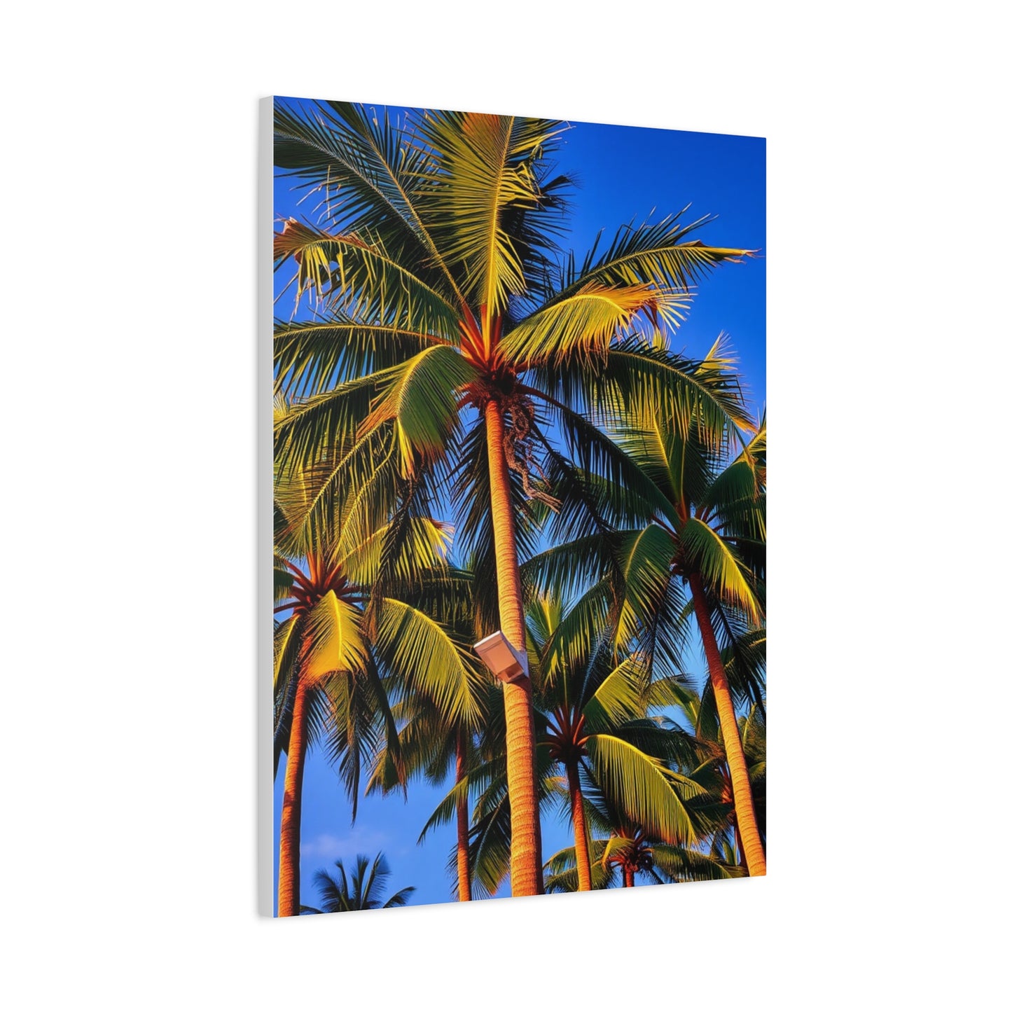 Sublime Tropics Canvas Wall Art & Canvas Print