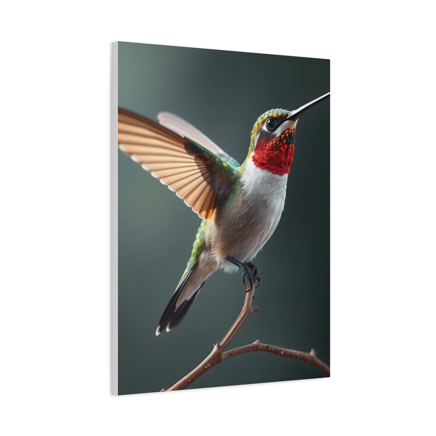 Supreme Humming Bird Art Collection Wall Art & Canvas Print