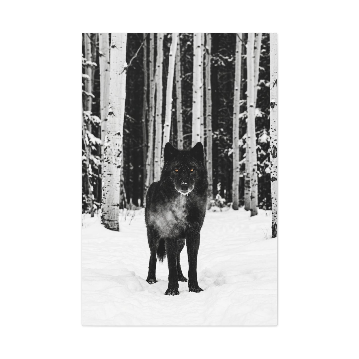 Snow Forest Black Wolf Minimal Scene Wall Art & Canvas Print