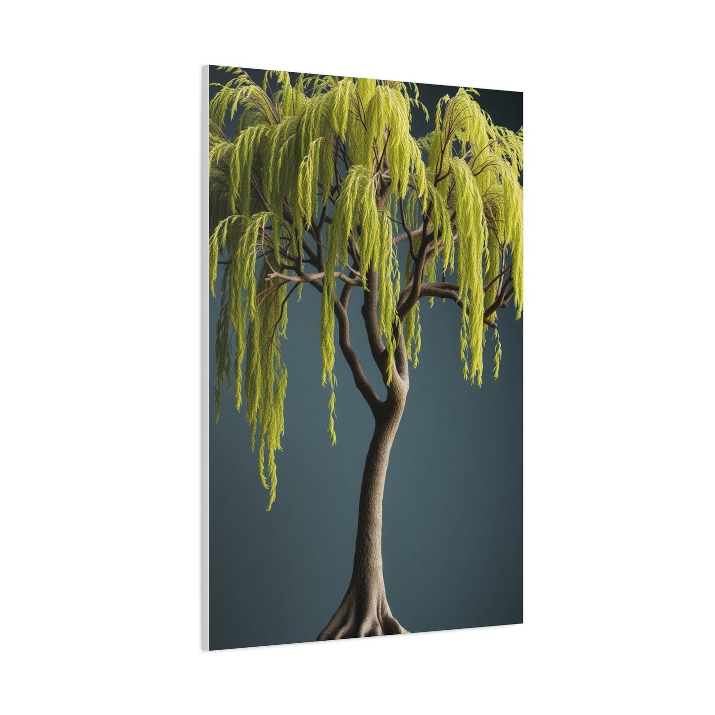 Willow Tree Art Luxury Canvas Wall Art & Canvas Print