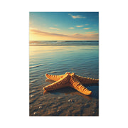 Starfish Resting in Shallow Sunset Waters Wall Art & Canvas Prints