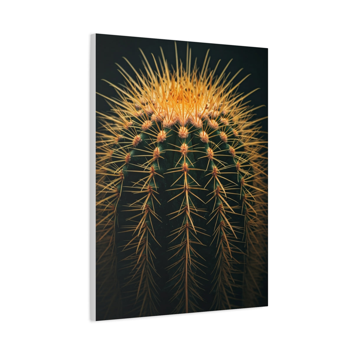 Sunset Crown Cactus Wall Art & Canvas Prints