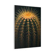 Sunset Crown Cactus Wall Art & Canvas Prints