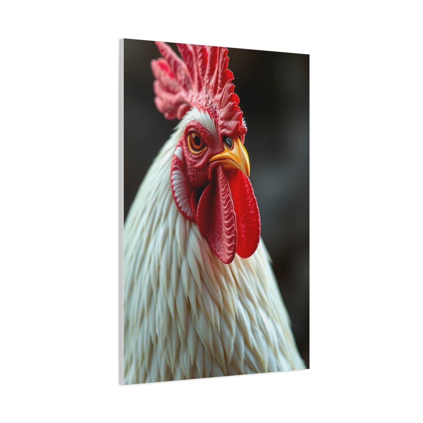 Elite Chicken & Rooster Wall Art Vision Wall Art & Canvas Print