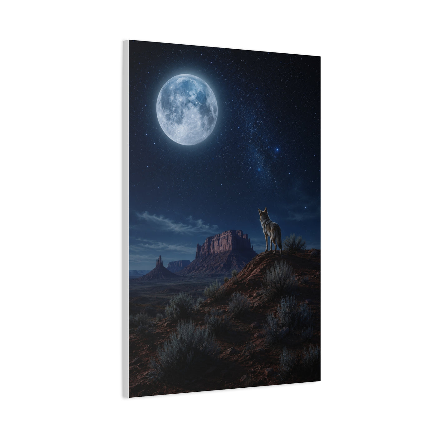 Moonlit Coyote Desert Wall Art & Canvas Print