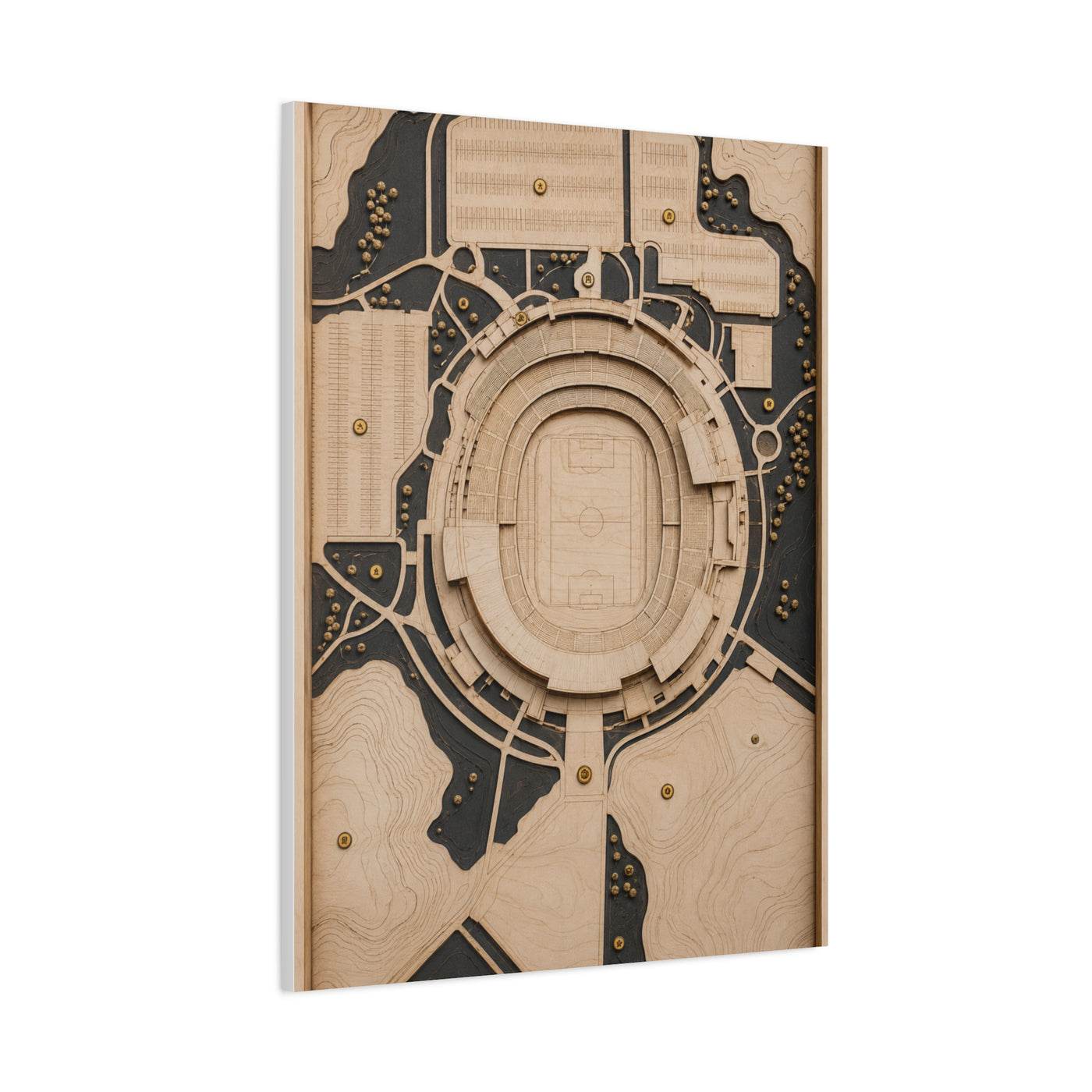 Topographic Stadium Map Sports Wall Art & Canvas Print