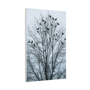Tree of Crows Silhouette Wall Art & Canvas Print