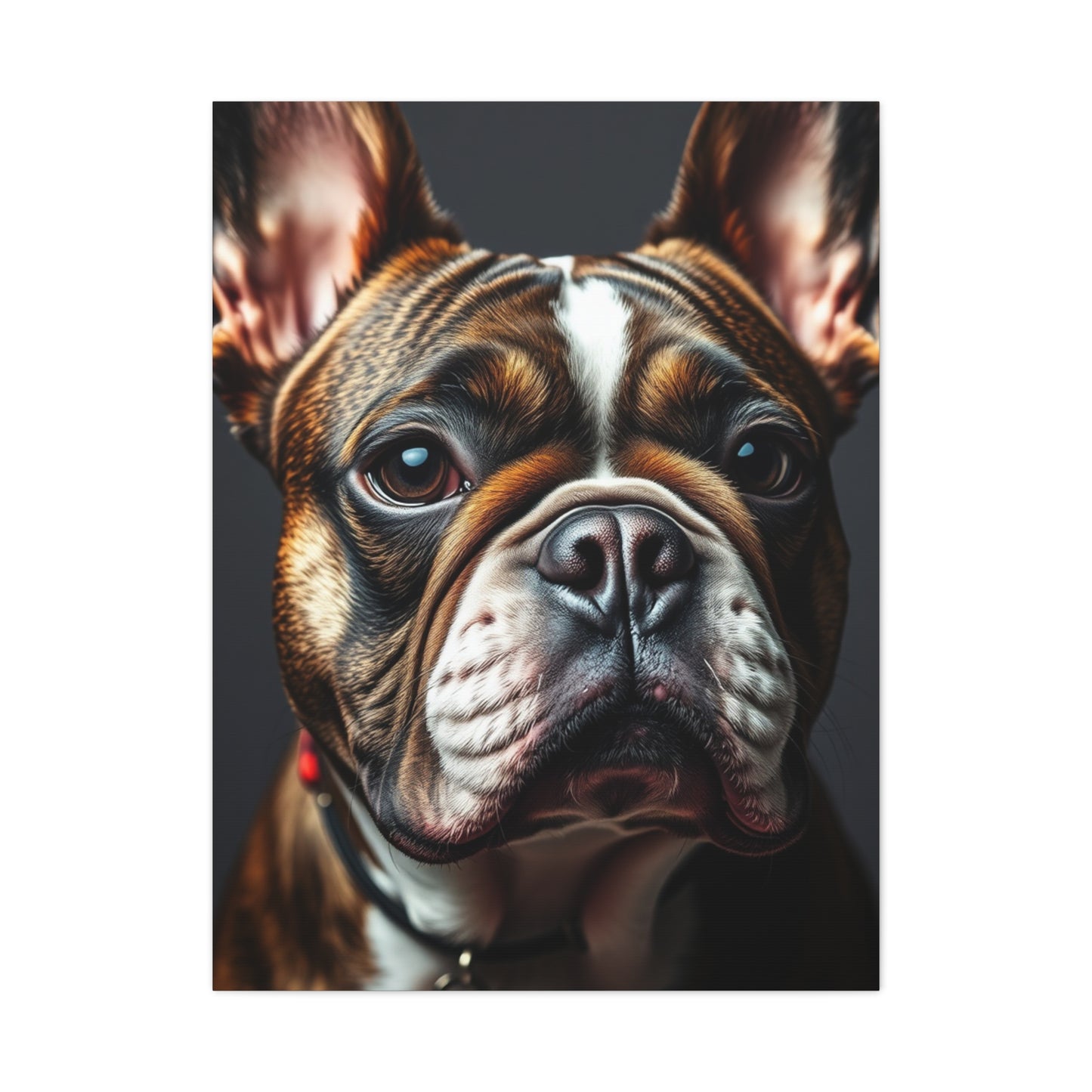 Supreme French Bulldog Art Beautiful Collection Wall Art & Canvas Print