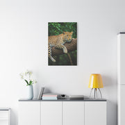 Leopard Resting in Jungle Canopy Wall Art & Canvas Prints