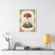 Victorian Botanical Mycology Plate Wall Art & Canvas Print