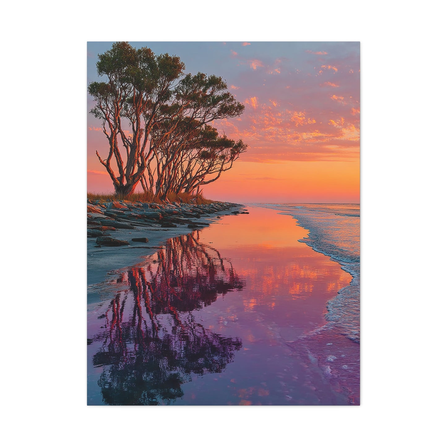 Driftwood Coastal Reflection Sunrise Wall Art & Canvas Print