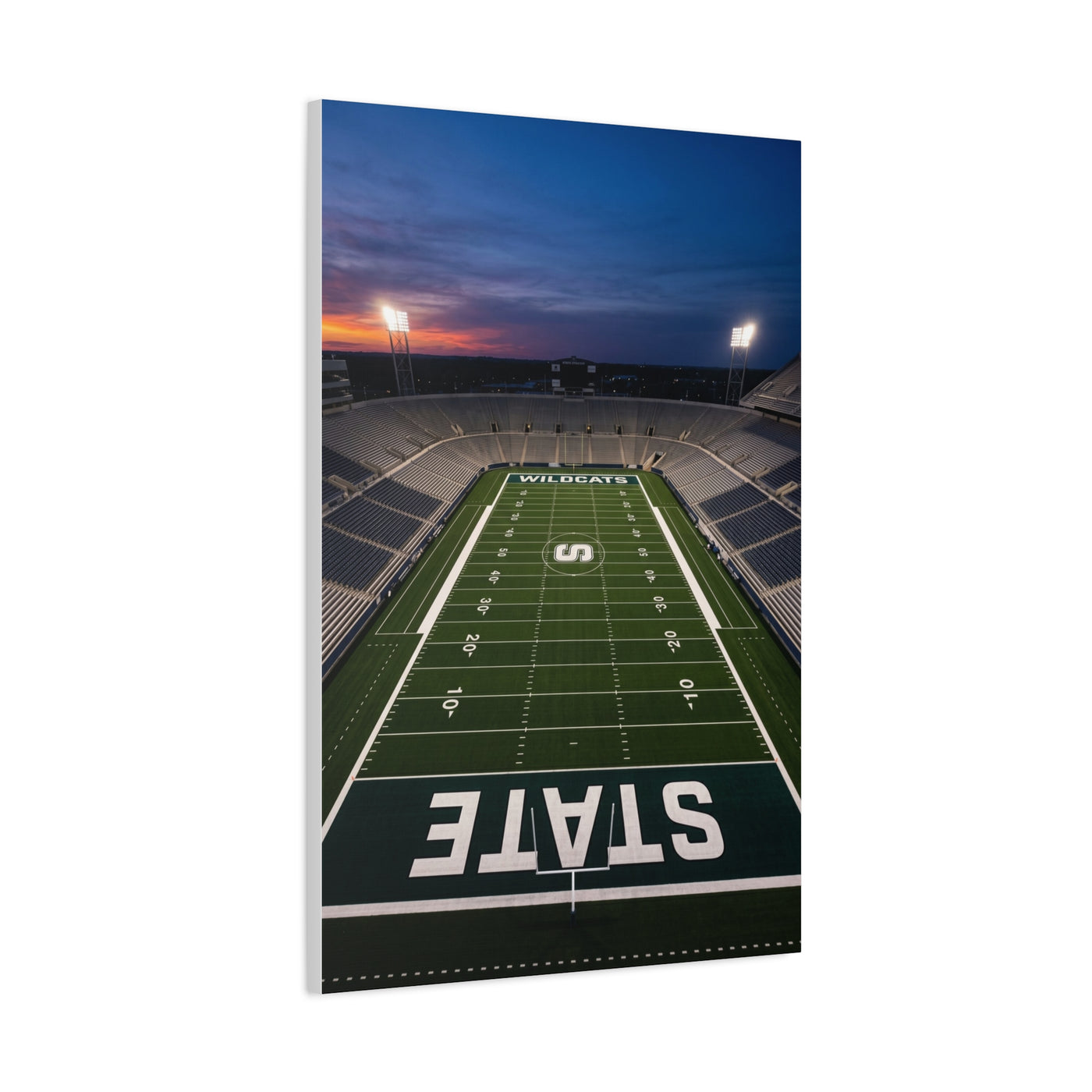 Stadium Under Lights Panorama Sports Wall Art & Canvas Print