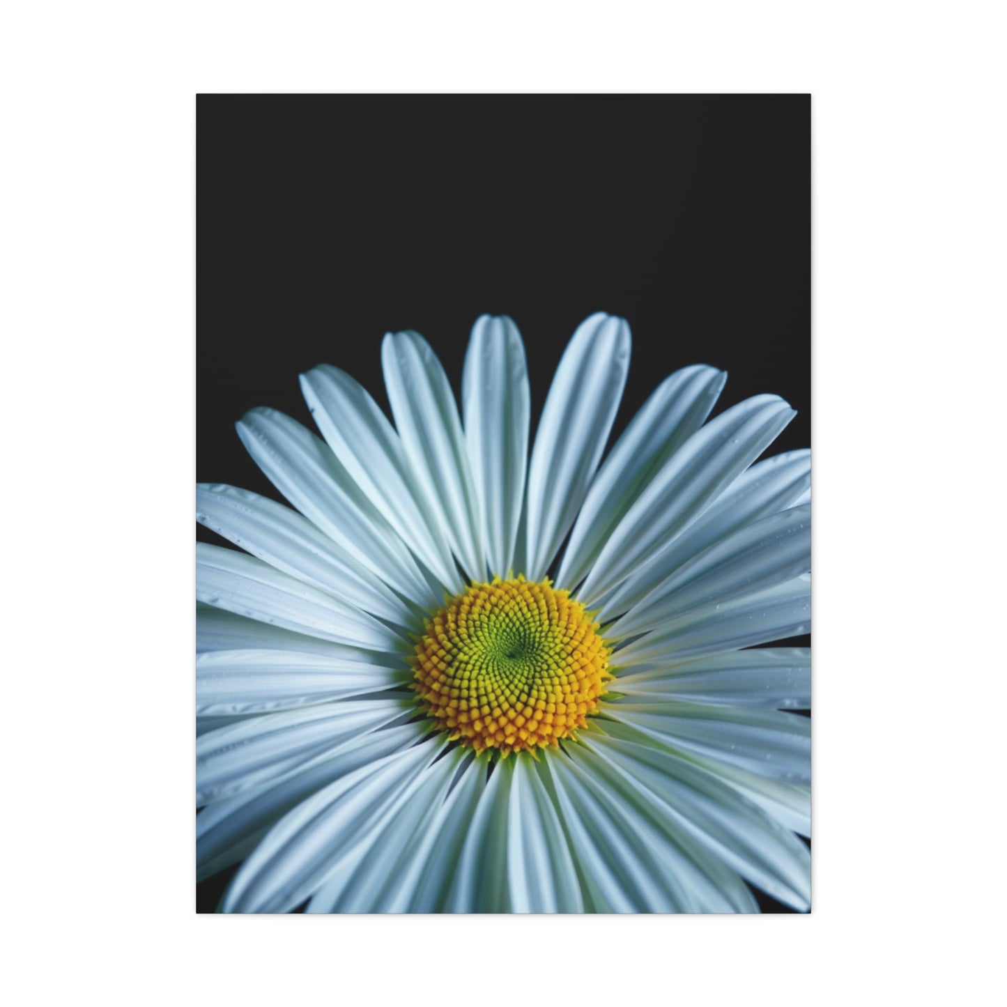 Majestic Meadow Elegance