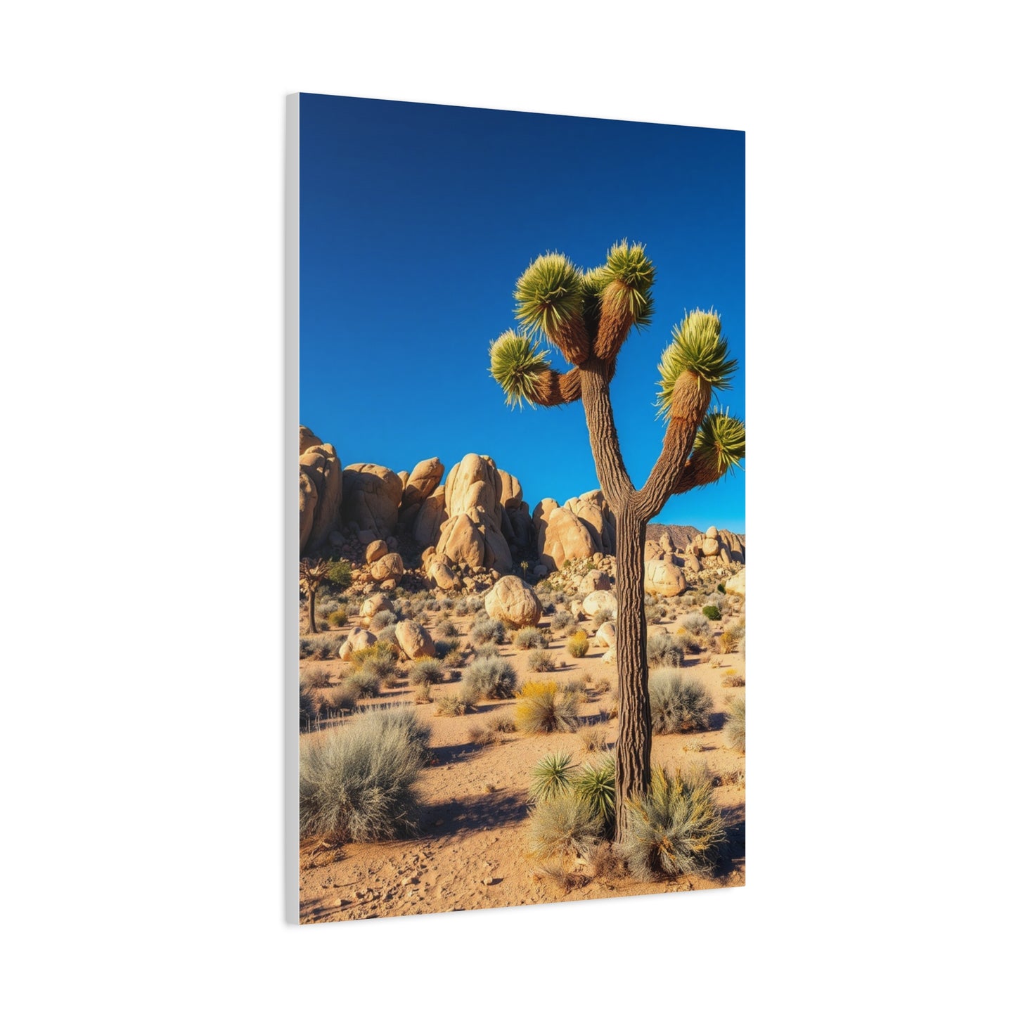 Joshua Tree National Park Art Luxury Canvas Wall Art & Canvas Print