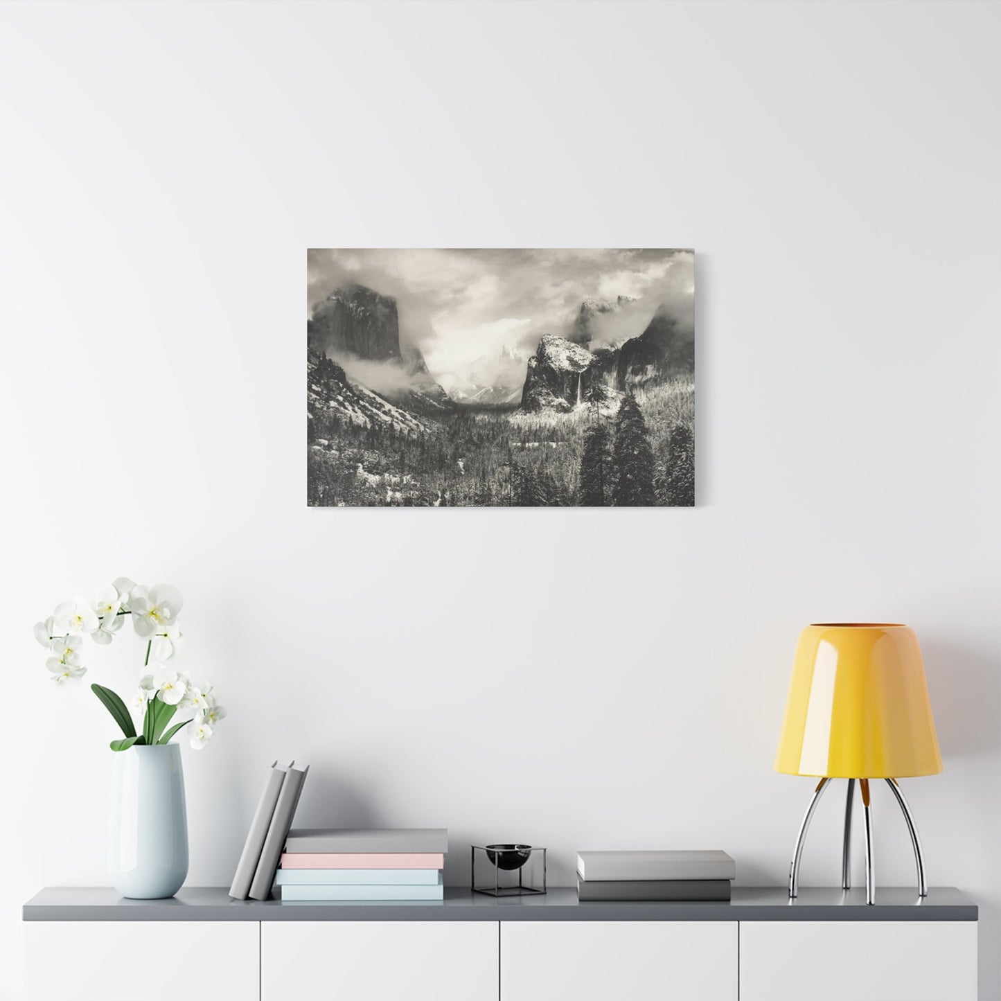 Ansel Wall Art & Canvas Prints