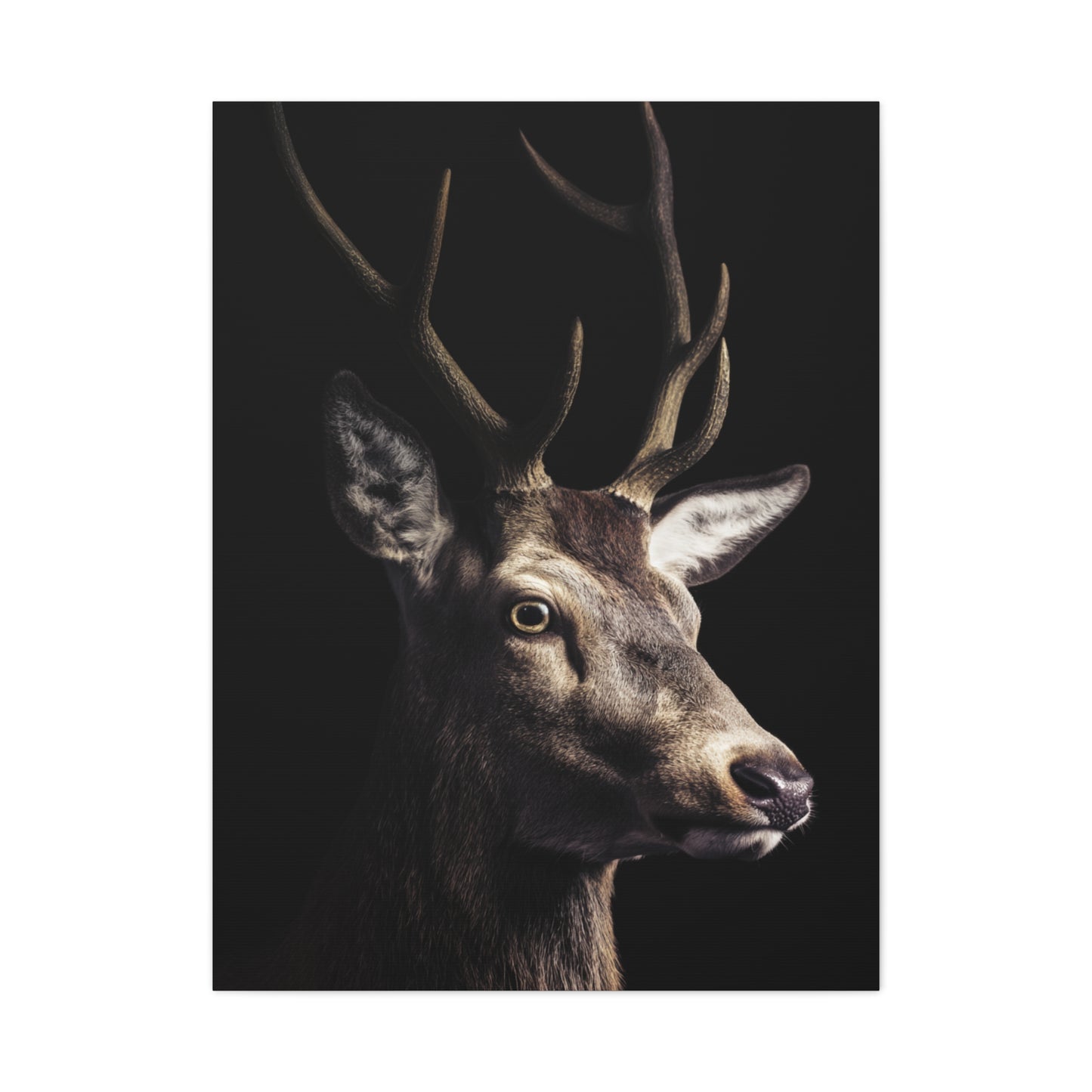 Shadowed Stag Minimal Portrait Wall Art & Canvas Print