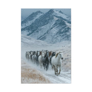 Wild Horse Herd Mountain Run Wall Art & Canvas Print