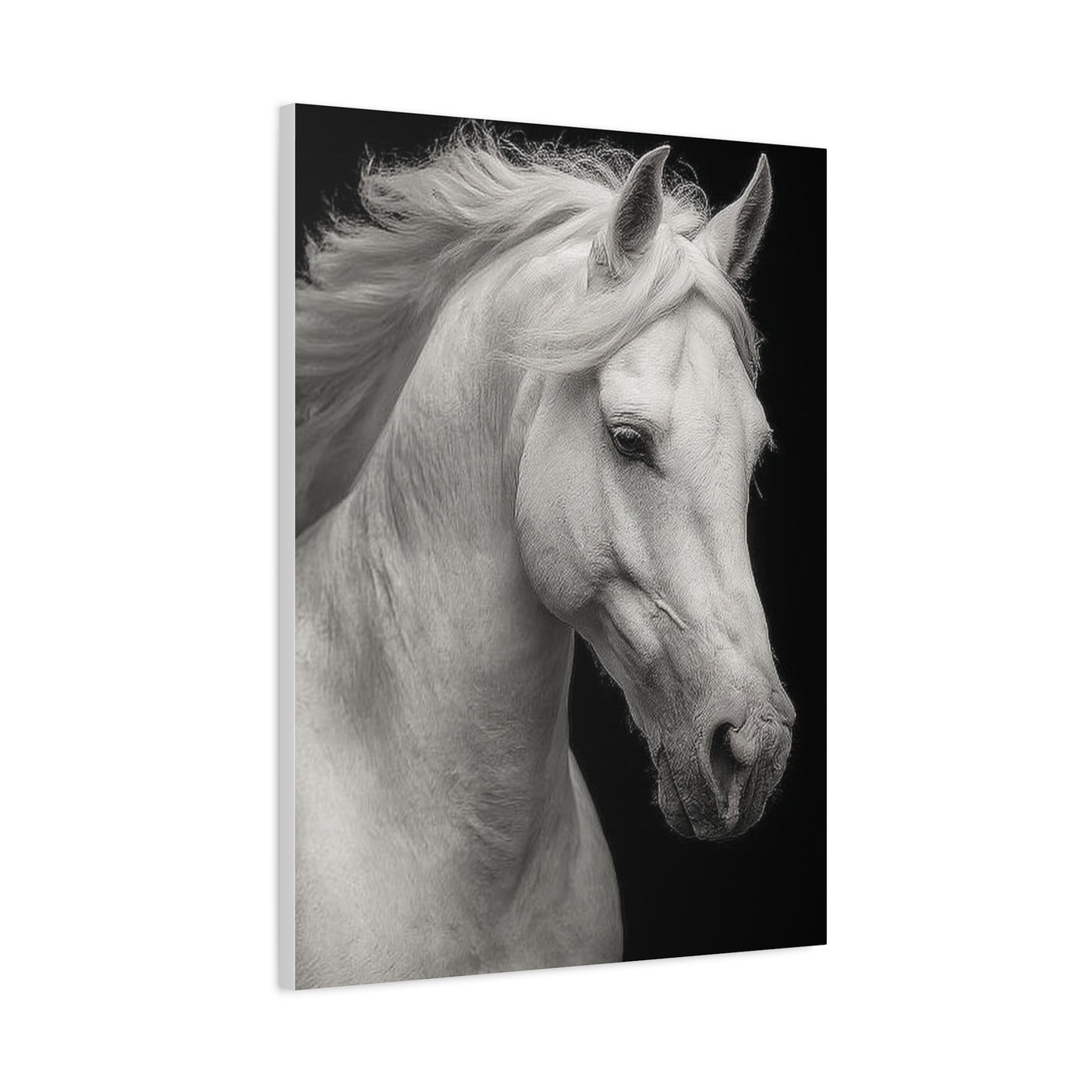 White Horse Fine Art Portrait Wall Art & Canvas Print