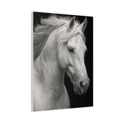 White Horse Fine Art Portrait Wall Art & Canvas Print