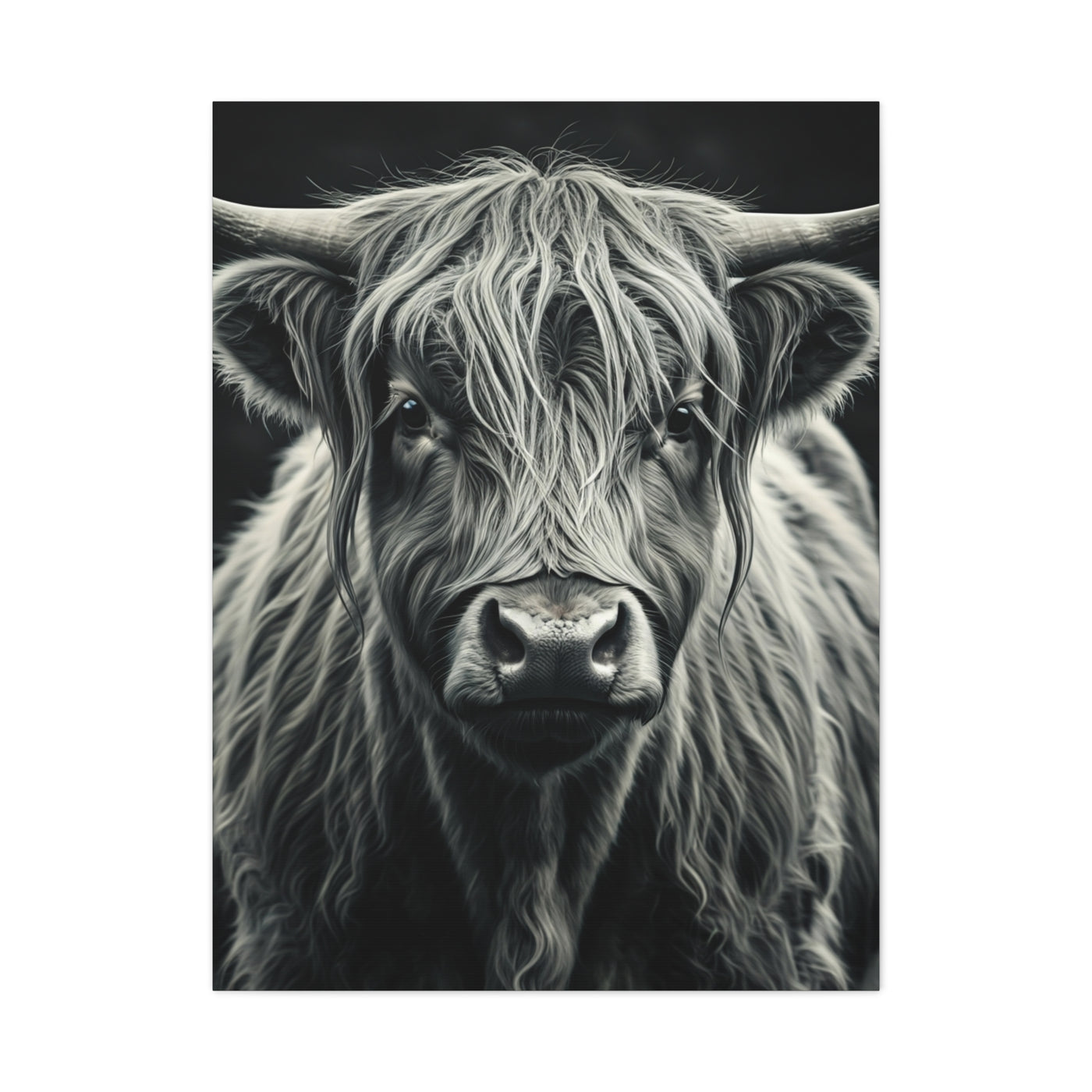 Highland Longhorn Portrait Wall Art & Canvas Prints