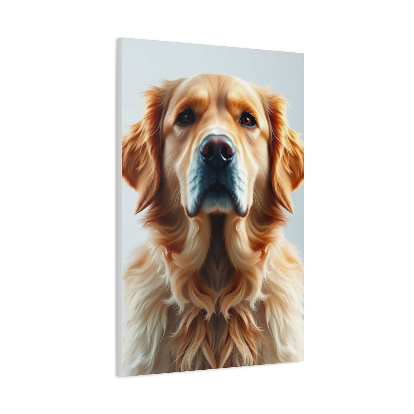 Golden Retriever Art Supreme Gallery Wall Art & Canvas Print