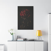 Dark Crimson Rose Still Life Wall Art & Canvas Print