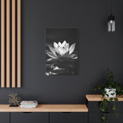 Serene Lotus Reflection Wall Art & Canvas Prints