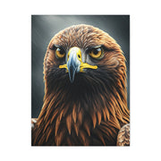 Golden Eagle Intensity Wall Art & Canvas Prints