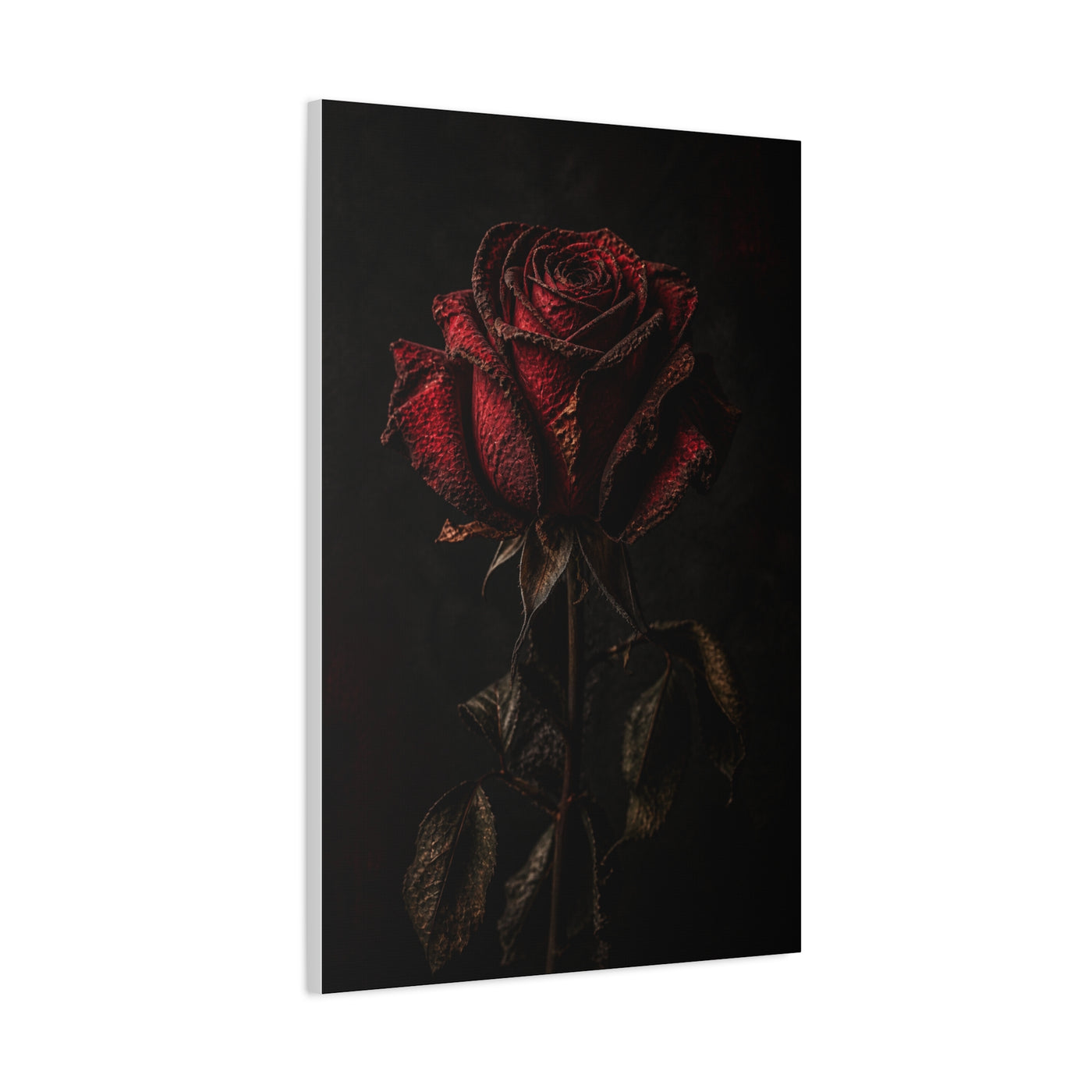 Dark Crimson Rose Still Life Wall Art & Canvas Print