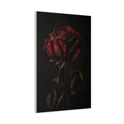 Dark Crimson Rose Still Life Wall Art & Canvas Print