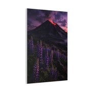 Volcanic Twilight & Wild Lupines Wall Art & Canvas Print