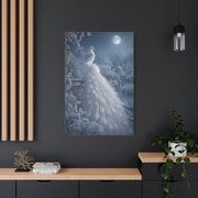 Snowy Moonlit White Peacock Wall Art & Canvas Print