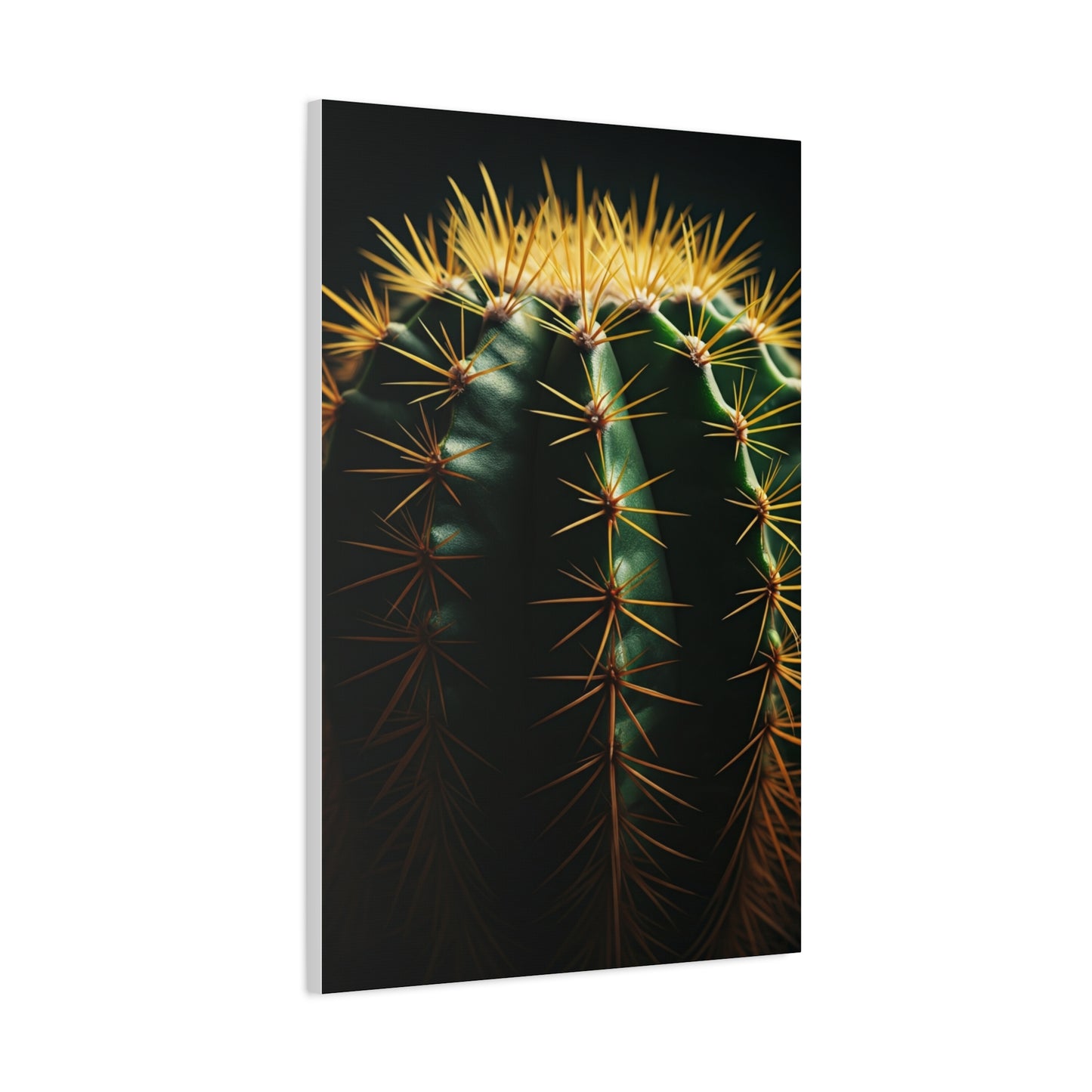 Golden Spine Macro Cactus Wall Art & Canvas Prints